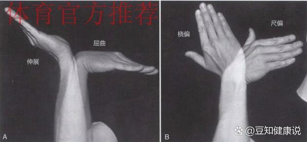 Siegel:康查尔左手拇指尺侧副韧带撕裂,三周后复查 Siegel:康查尔左手拇指尺侧副韧带撕裂,三周后复查